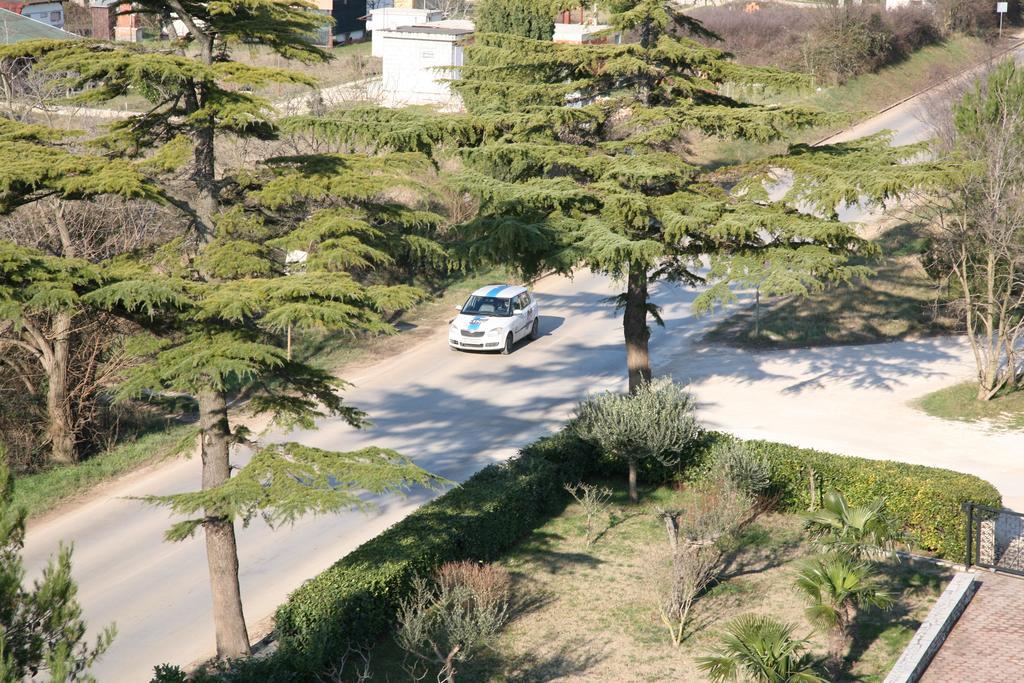 פאז'אנה Vila In Lavanda מראה חיצוני תמונה
